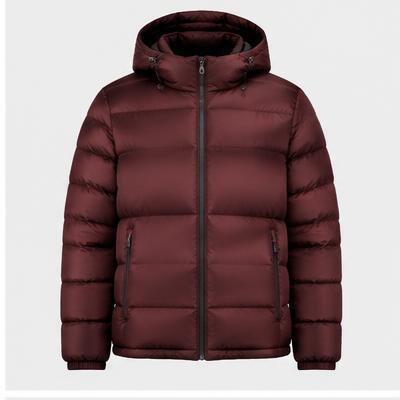 Pole Position down jackets